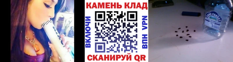 Купить где  Семилуки  ГАШ Изолятор 