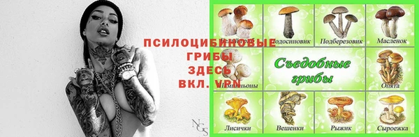 трава Зерноград