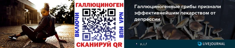 Псилоцибиновые грибы GOLDEN TEACHER  Купить закладки  Семилуки 